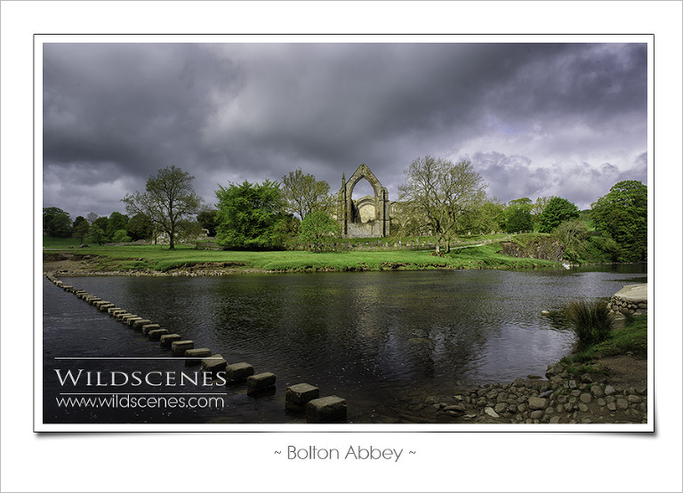 Bolton Abbey | Yorkshire landscape photographer