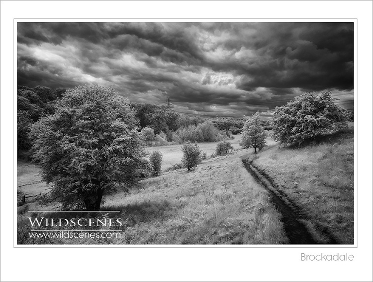 Brockadale in infra red