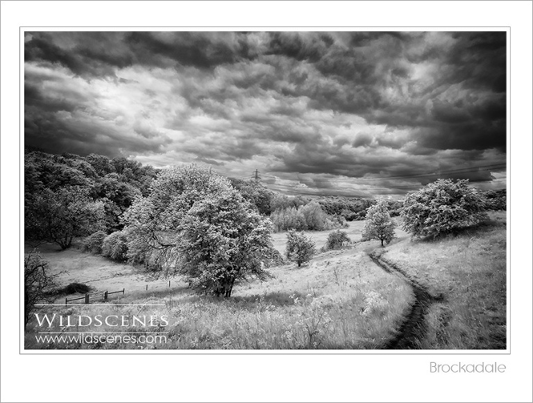 Brockadale in infra red