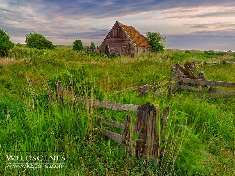 landscape photography on Texel
