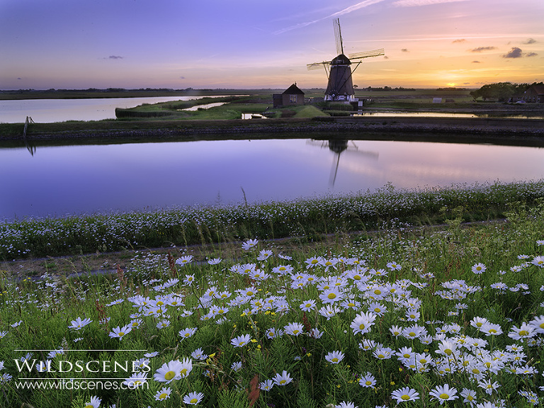 landscape photography on Texel